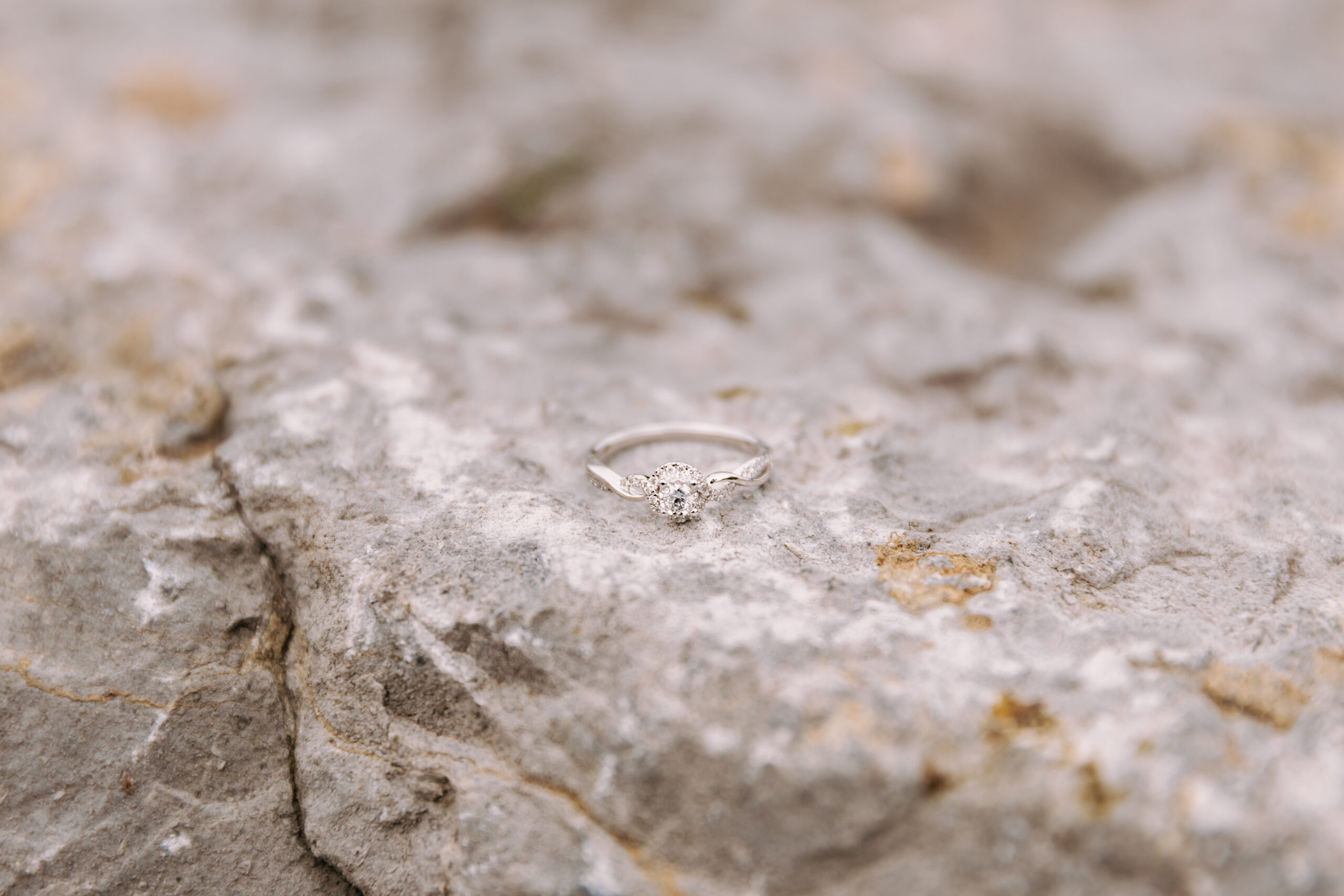 Read more about the article How to Plan a Proposal: Tips From Wedding Photographers Who’ve Seen It All